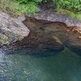 Review photo of Silver Falls State Park Campground by Jill T., August 26, 2019