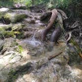Review photo of McKinney Falls State Park Campground by Megan C., August 26, 2019