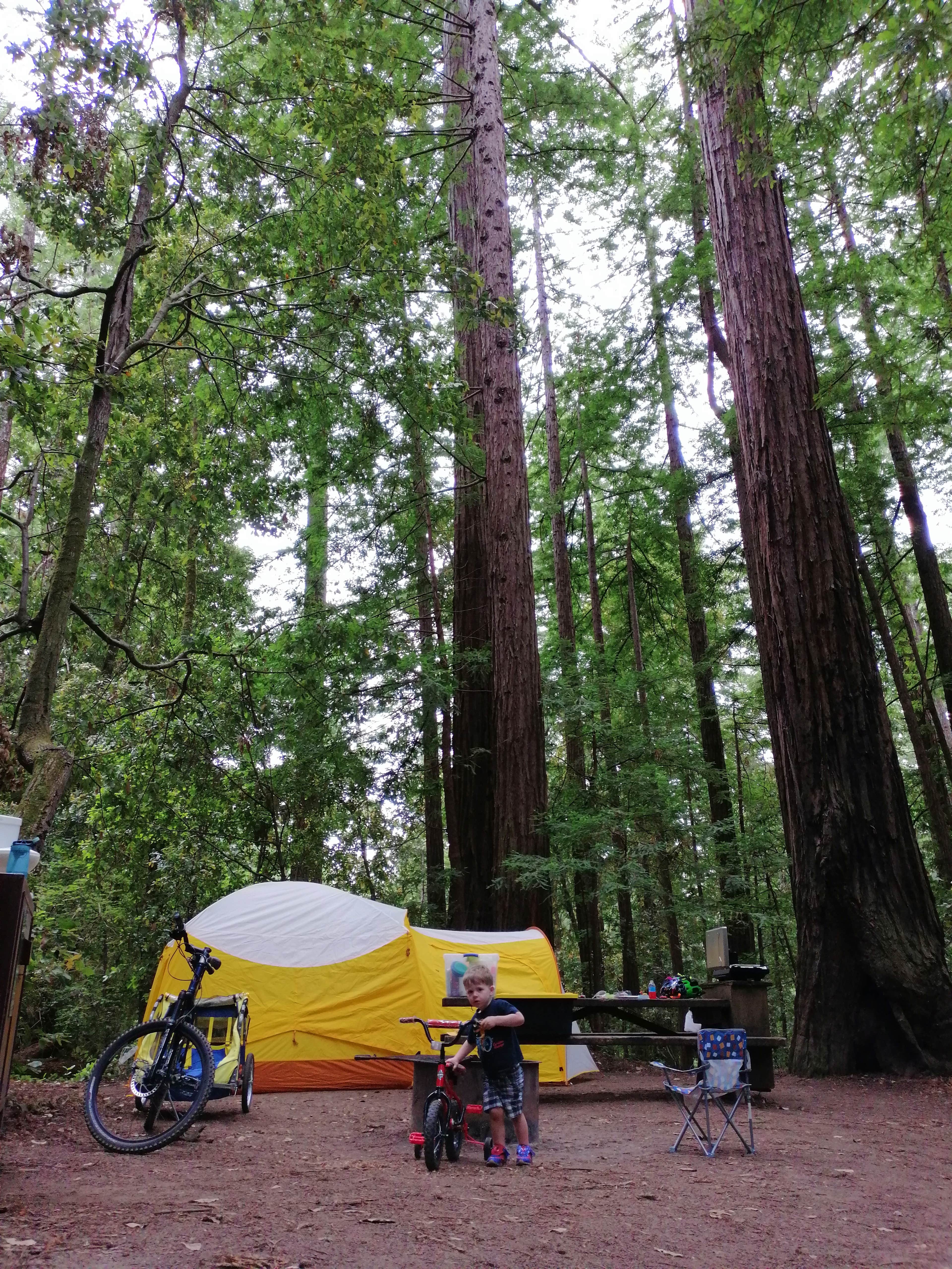 Cecil  K.'s photo of tent camping at Ben Ries Campground — Butano State Park - CLOSED INDEFINITELY near Capitola, CA