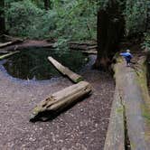 Review photo of Ben Ries Campground — Butano State Park by Cecil  K., August 26, 2019