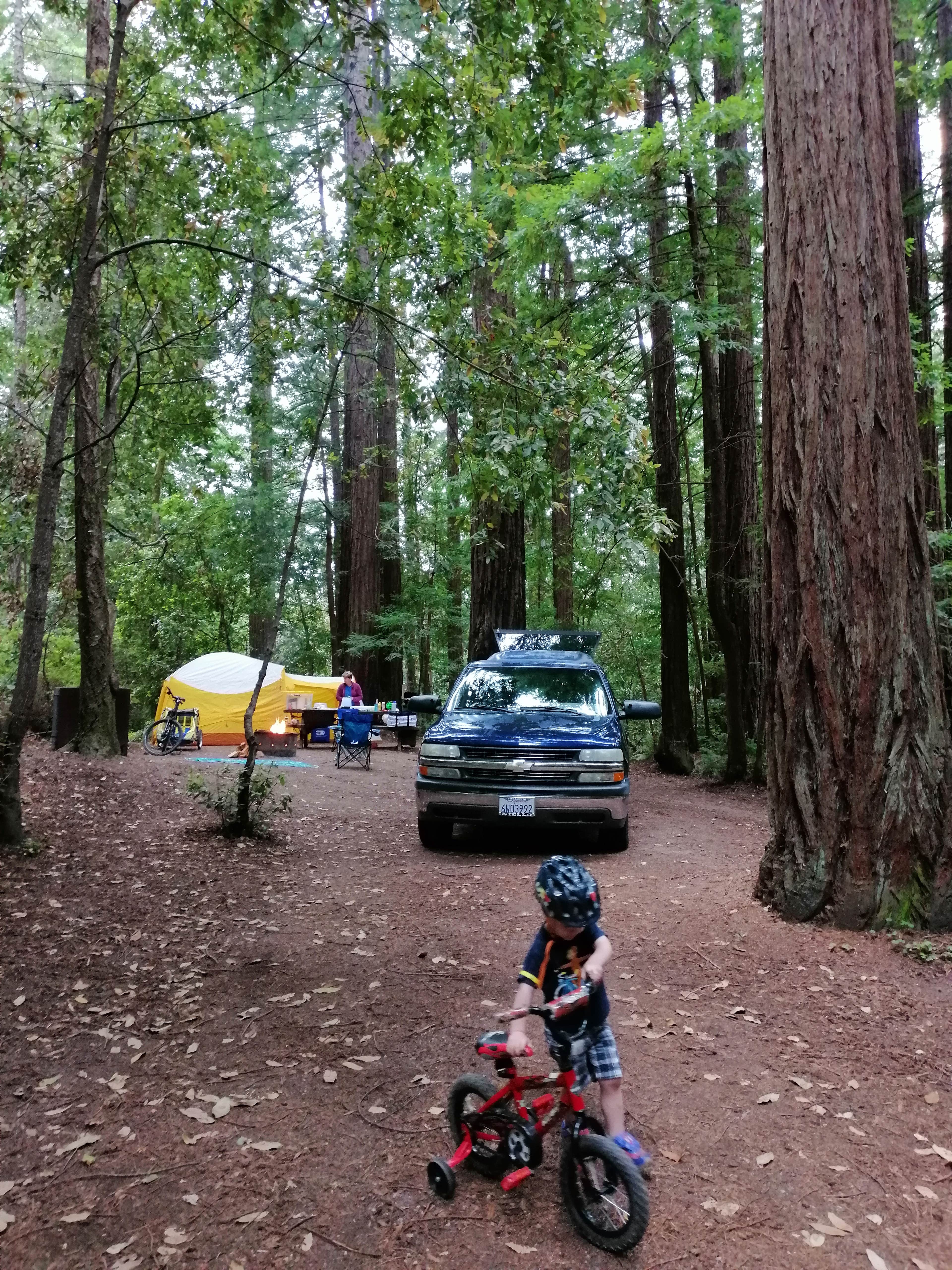 Camper submitted image from Ben Ries Campground — Butano State Park - 1