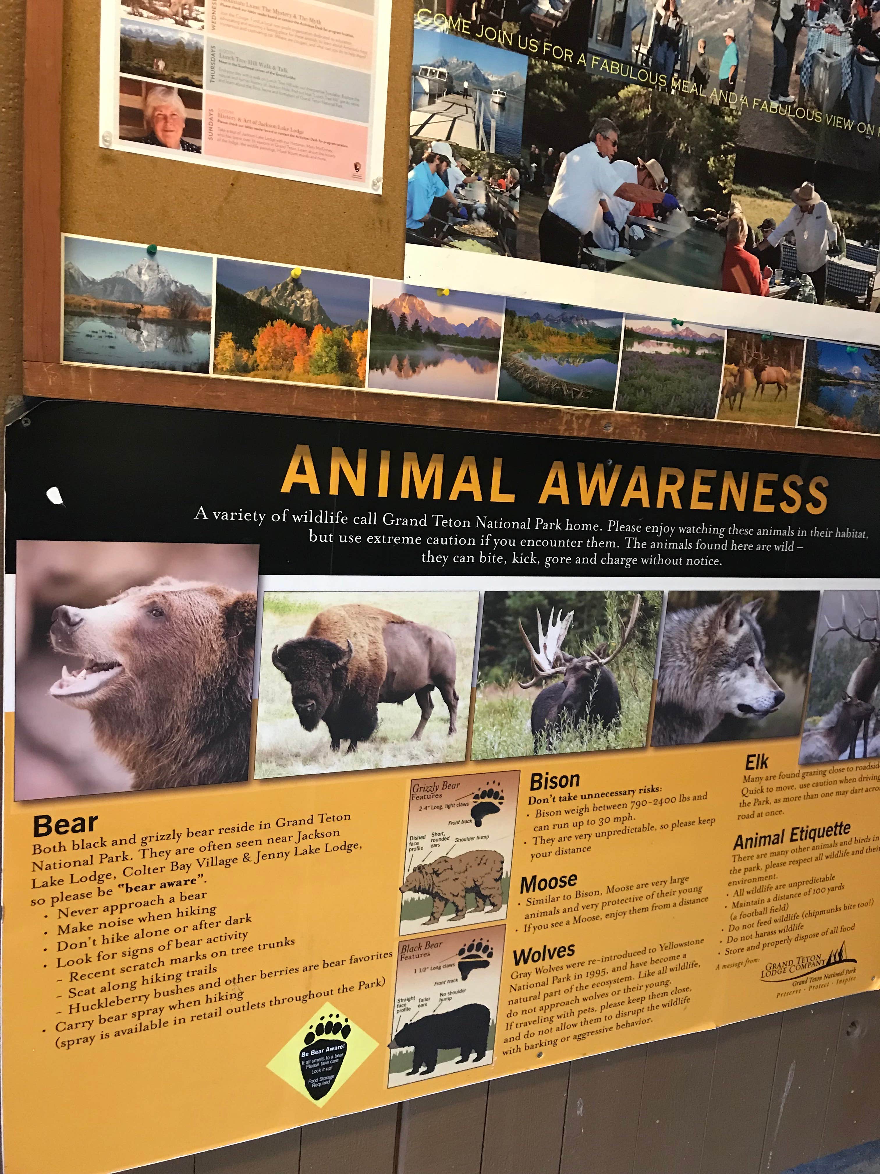 Stephen L.'s photo of camping with pets at Colter Bay RV Park at Colter Bay Village — Grand Teton National Park near Grand Teton National Park