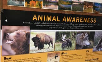 Stephen L.'s photo of camping with pets at Colter Bay RV Park at Colter Bay Village — Grand Teton National Park near Grand Teton National Park