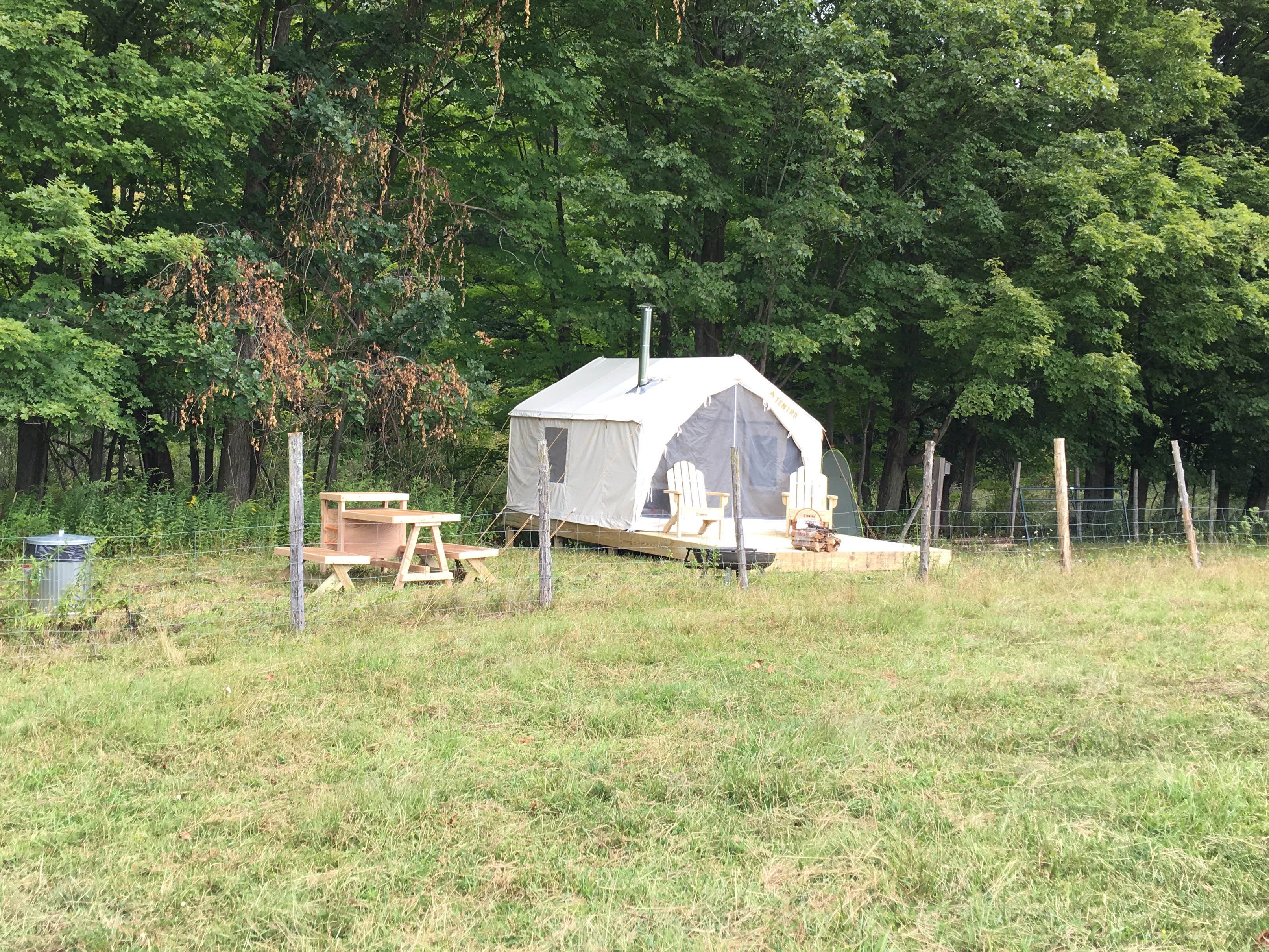 The Dyrt's photo at Pasture Paradise Camp at Parkwood Farm near Canastota, NY