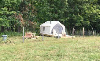 The Dyrt's photo at Pasture Paradise Camp at Parkwood Farm near Morrisville, NY