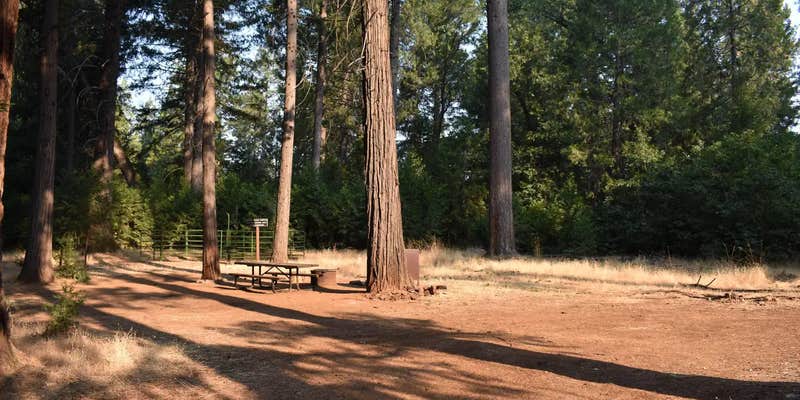 Camper submitted image from Dru Barner Campground — Eldorado National Forest