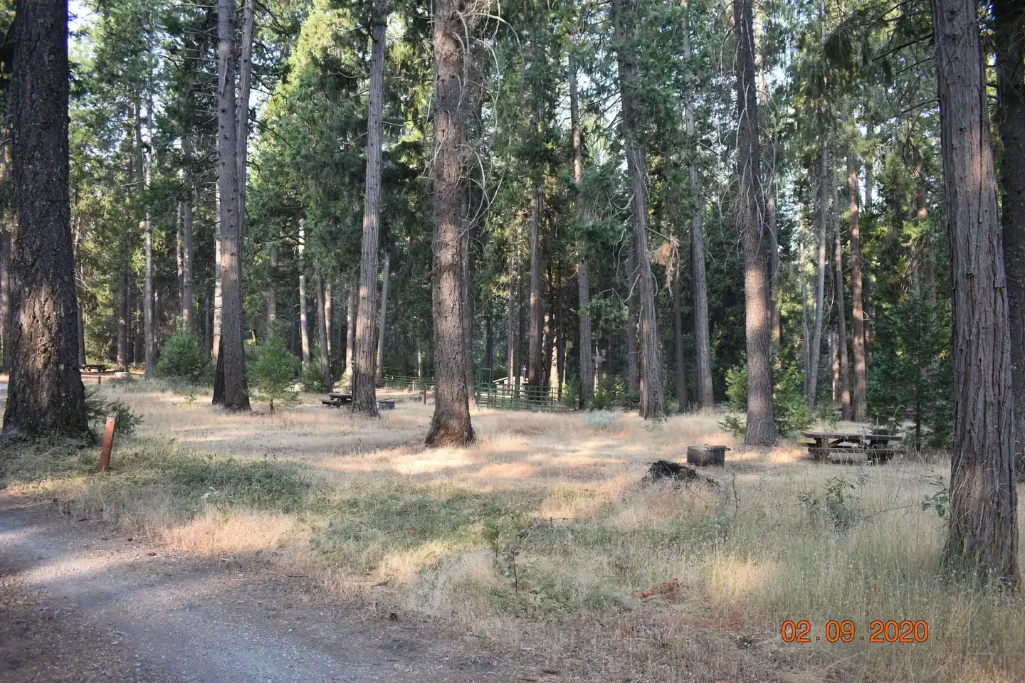Camper-submitted photo at Dru Barner Campground — Eldorado National Forest near Auburn, CA