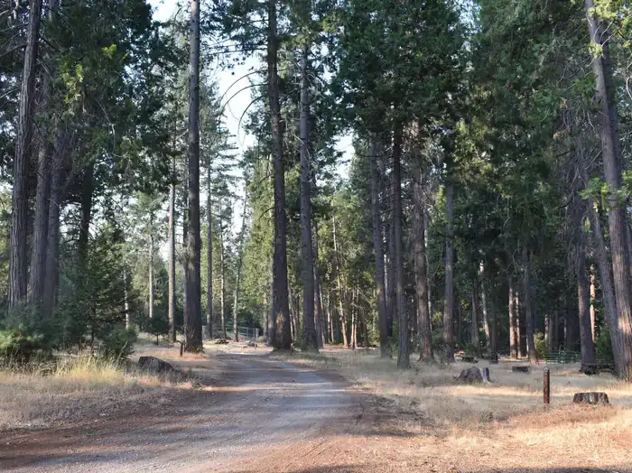 Camper-submitted photo at Dru Barner Campground — Eldorado National Forest near Auburn, CA