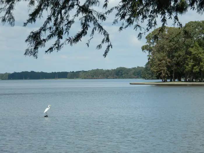 Camper submitted image from Merrisach Lake - 1