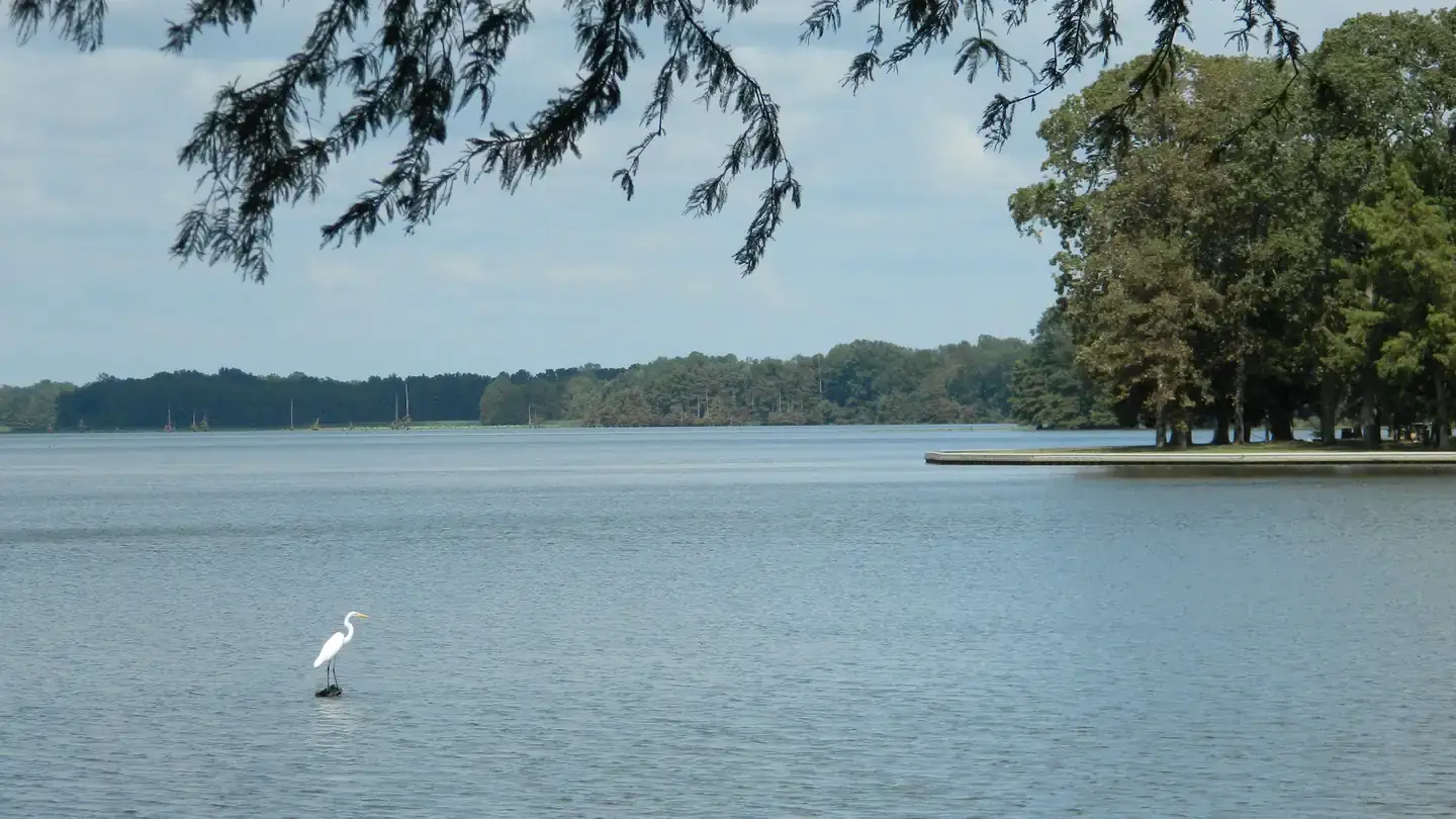 Camper-submitted photo at Merrisach Lake near Arkansas River - Pool 3