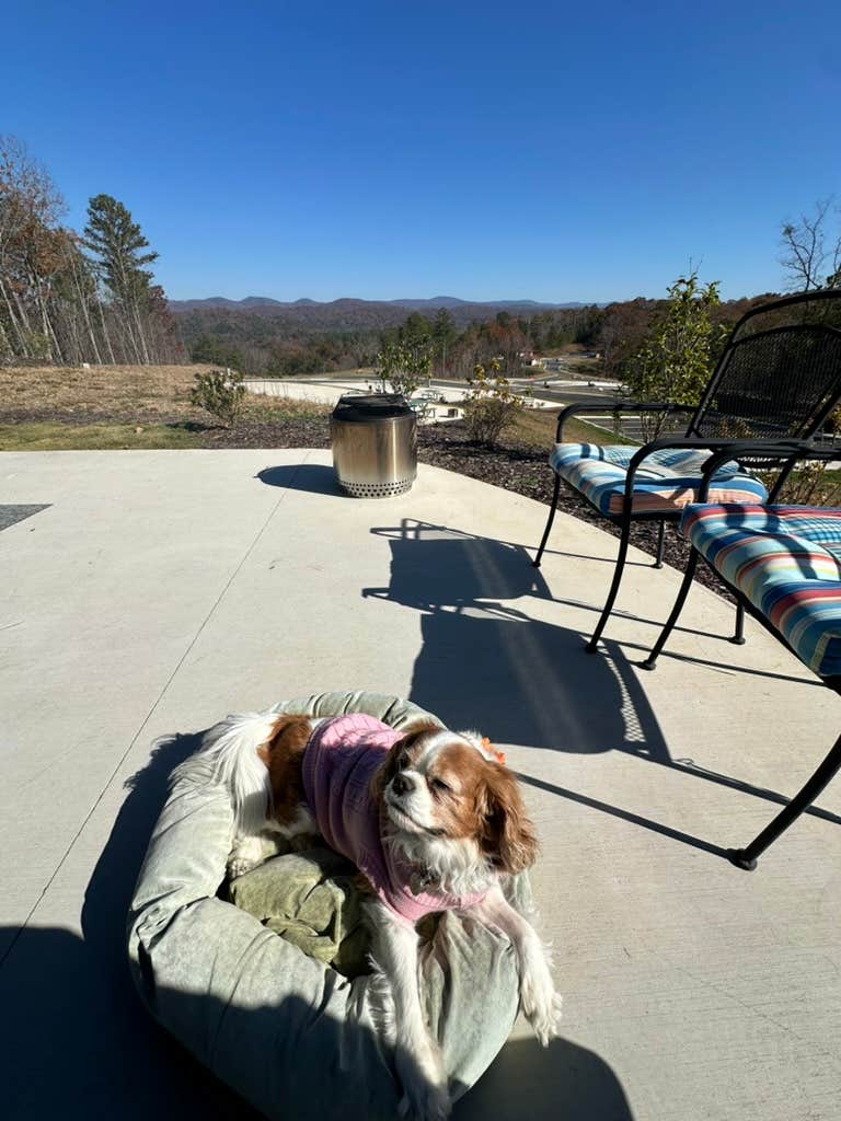 Kimberly C.'s photo of camping with pets at Talking Rock Motorcoach Resort near Carters Lake