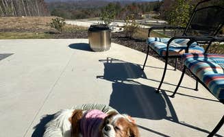 Kimberly C.'s photo of camping with pets at Talking Rock Motorcoach Resort near Carters Lake