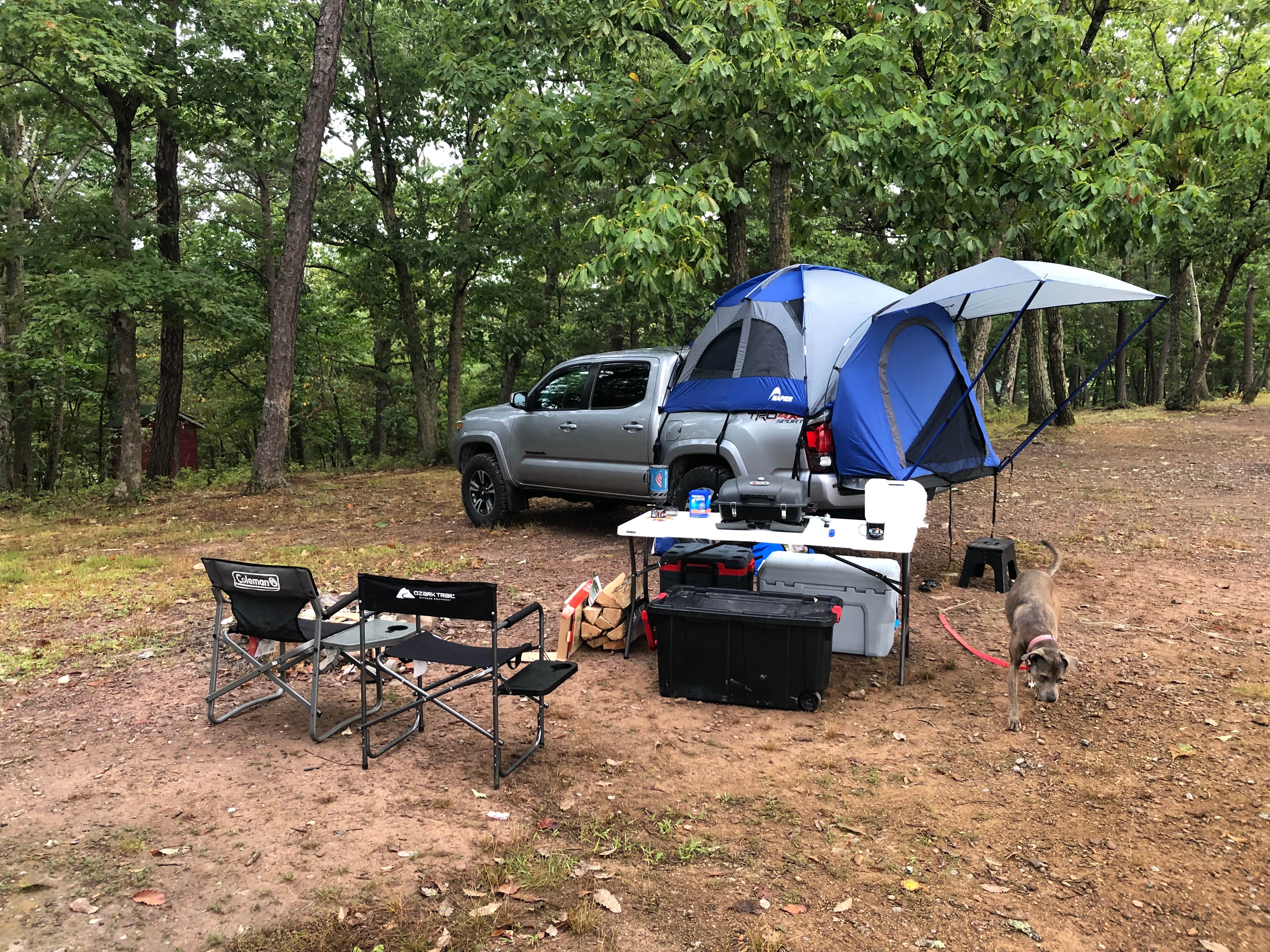 Ben M.'s photo at The Cove Campground near Winchester, VA