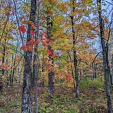 Review photo of Jay Cooke State Park Campground by David R., November 14, 2025