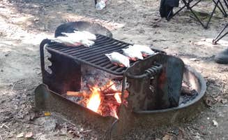 Jessica L.'s photo at Old Stone Fort State Archaeological Park near Estill Springs, TN