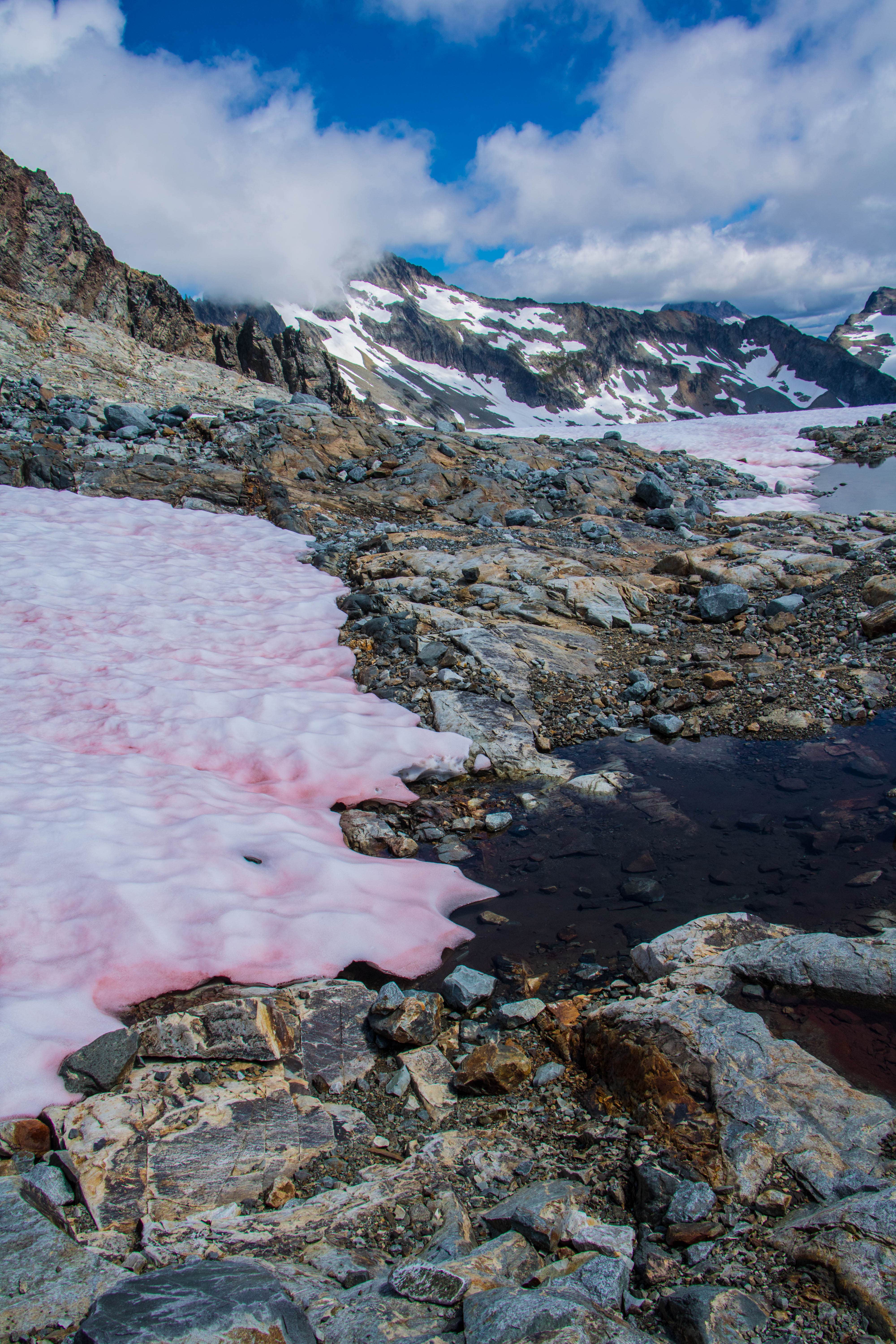 Camper-submitted photo at Sahale Glacier Camp — North Cascades National Park near North Cascades National Park
