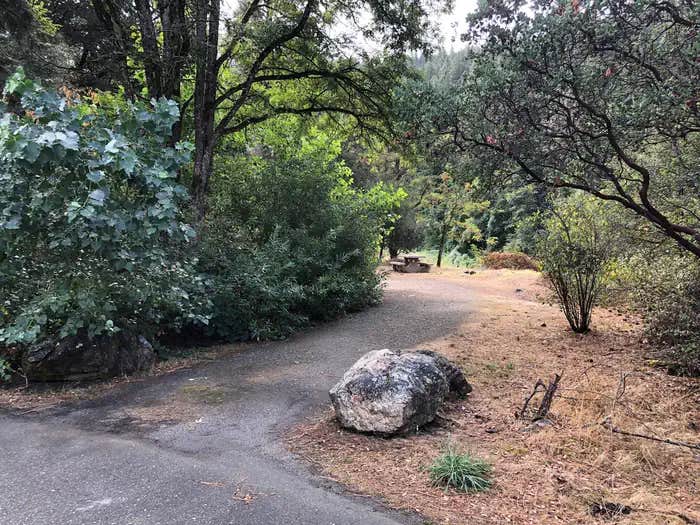 Camper submitted image from Skunk Point Group Campground — Shasta Trinity National Forest - 1