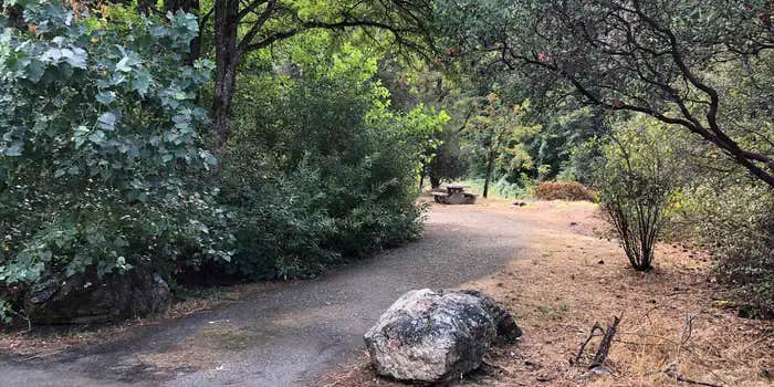 Camper submitted image from Skunk Point Group Campground — Shasta Trinity National Forest