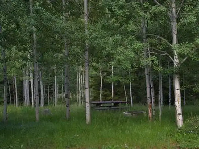 Camper-submitted photo at Ashley National Forest Iron Mine Campground near Hanna, UT