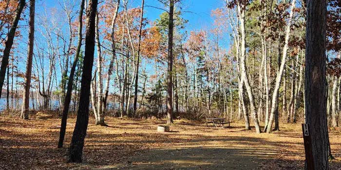 Camper submitted image from Mabel Lake Campground