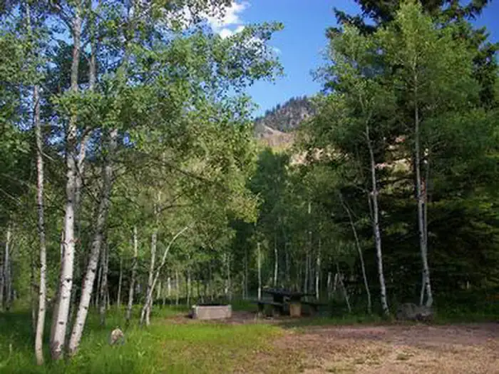 Camper-submitted photo at Ashley National Forest Iron Mine Campground near Hanna, UT