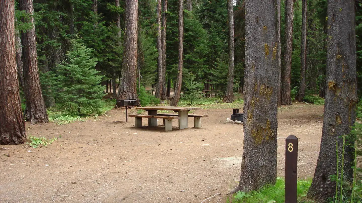 Camper-submitted photo at Kennally Creek near Cascade, ID