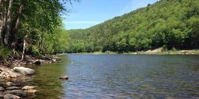 Camper submitted image from Alosa Boat In Campsites — Delaware Water Gap National Recreation Area