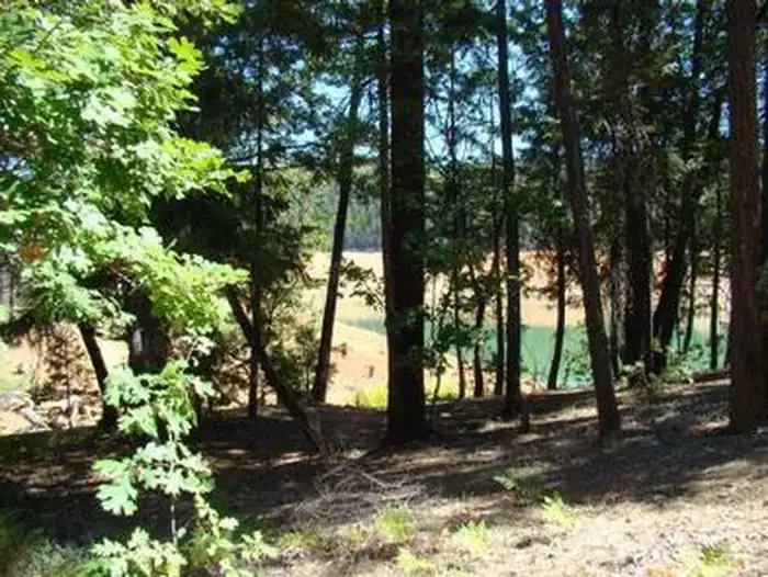 Camper-submitted photo at Minersville Campground near Helena, CA