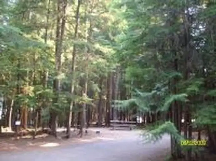 Camping near Dirt Oven Campground: Beaver Creek (idaho), Nordman, Idaho