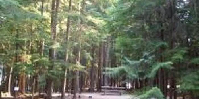 Camper submitted image from Beaver Creek (idaho)