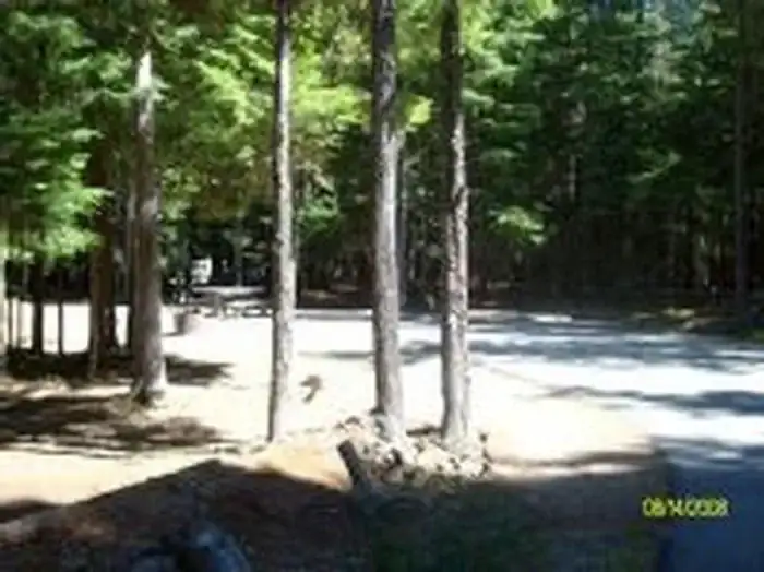 Camper-submitted photo at Beaver Creek (idaho) near Nordman, ID