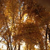 Review photo of Steinaker State Park Campground by Tammy H., September 27, 2016