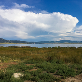 Review photo of Rocky Ridge Camground — Eleven Mile State Park by B B., August 21, 2019