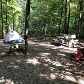 Review photo of Little Bennett Regional Park Campground by Ch. A., August 26, 2019