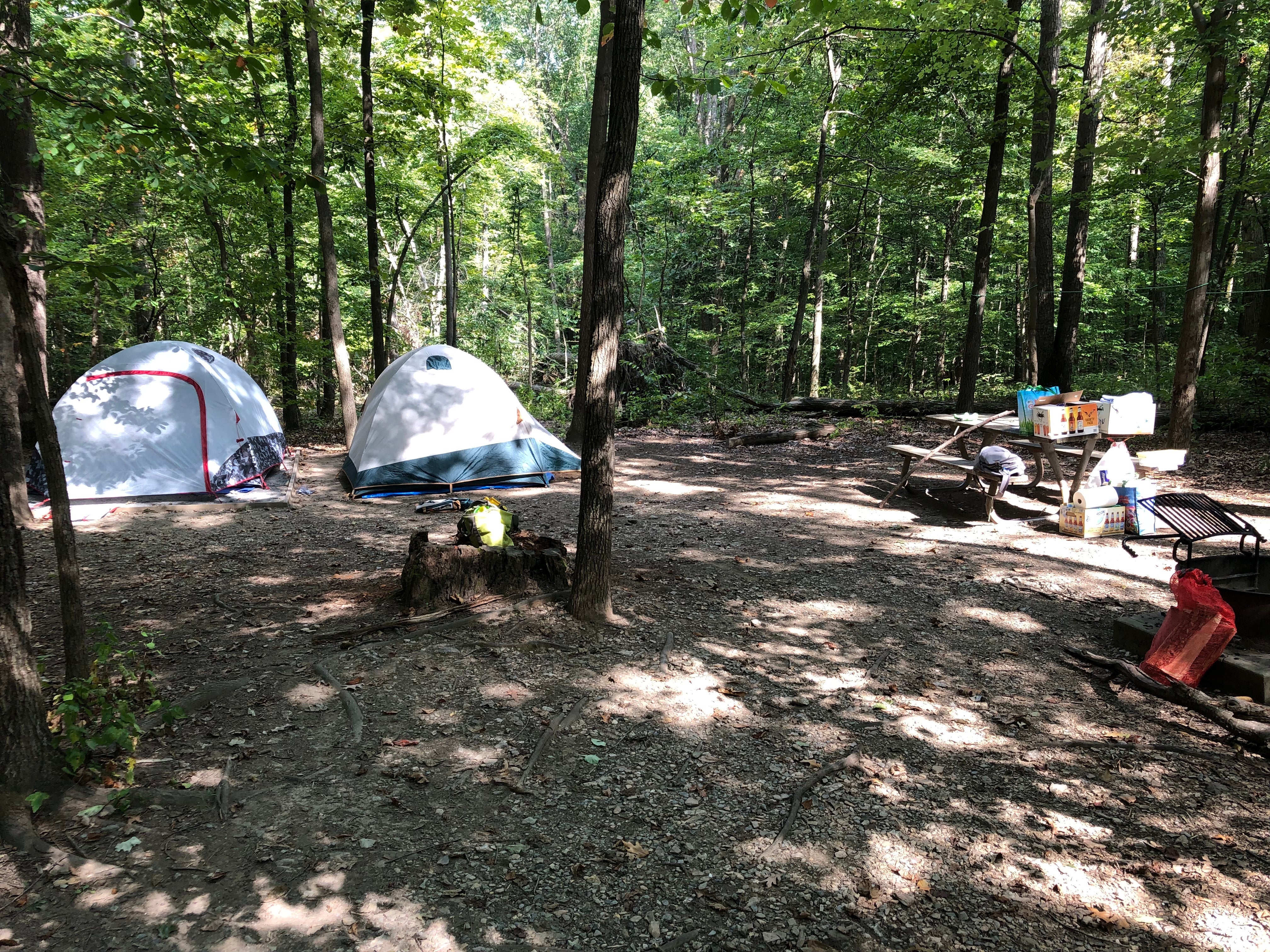Campsite view, outside of Loop E