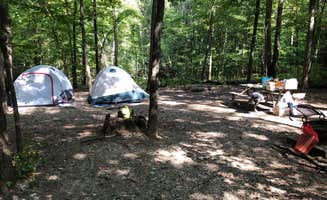 Ch. A.'s photo at Little Bennett Campground near Mount Airy, MD