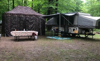 Robin L.'s photo at Niagara Woodland Campground near Gasport, NY