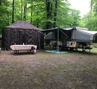 Camper-submitted photo from Niagara Woodland Campground