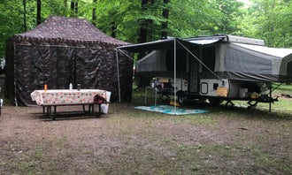 Camping near Niagara Falls/Grand Island KOA Holiday: Niagara Woodland Campground, Ransomville, New York