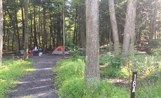Ann P.'s photo at Greenwood Furnace State Park Campground near Bellefonte, PA