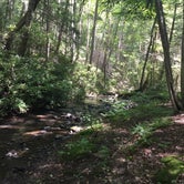 Review photo of Greenwood Furnace State Park Campground by Ann P., August 26, 2019