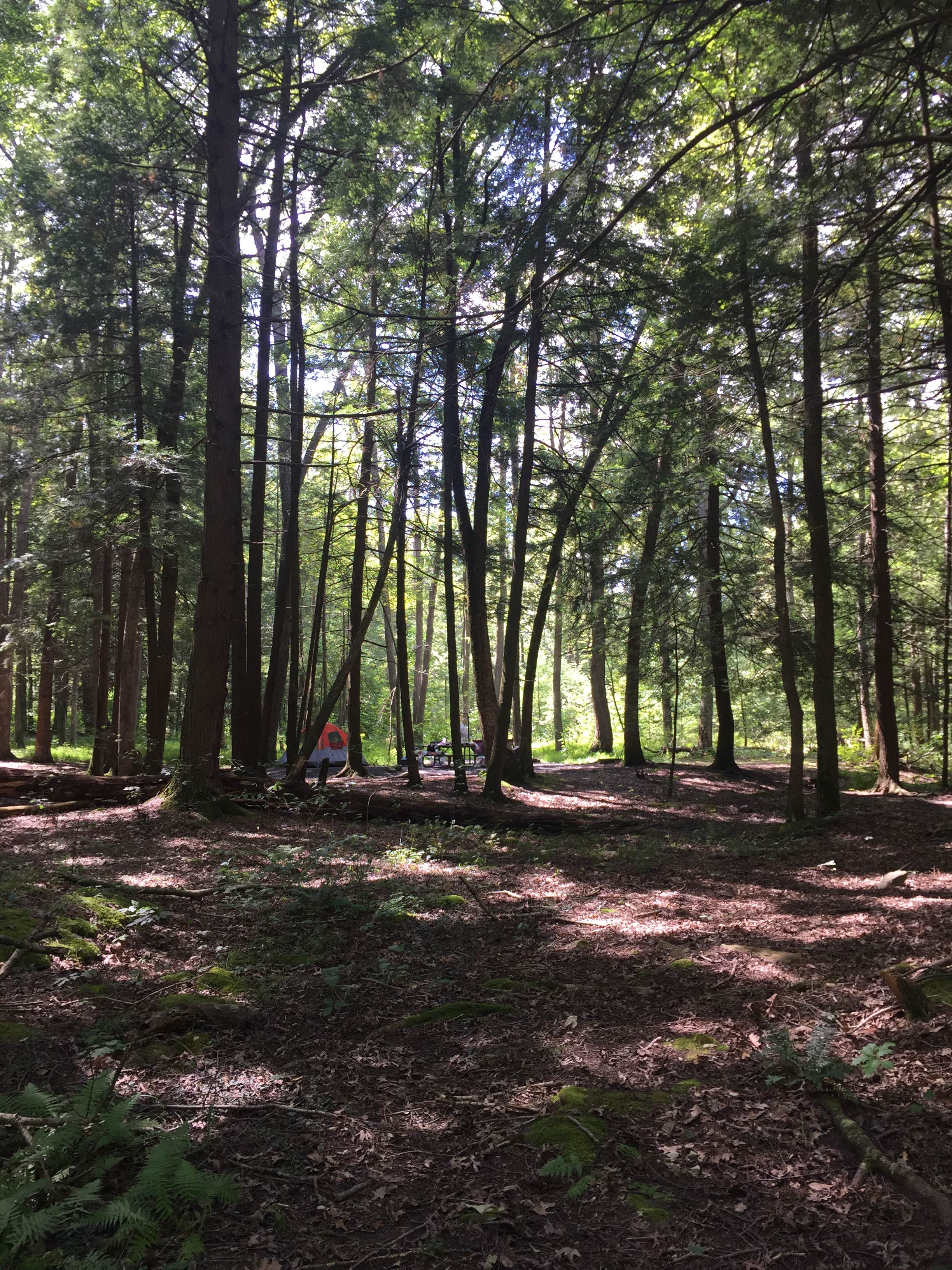 Camper-submitted photo at Greenwood Furnace State Park Campground near Lemont, PA