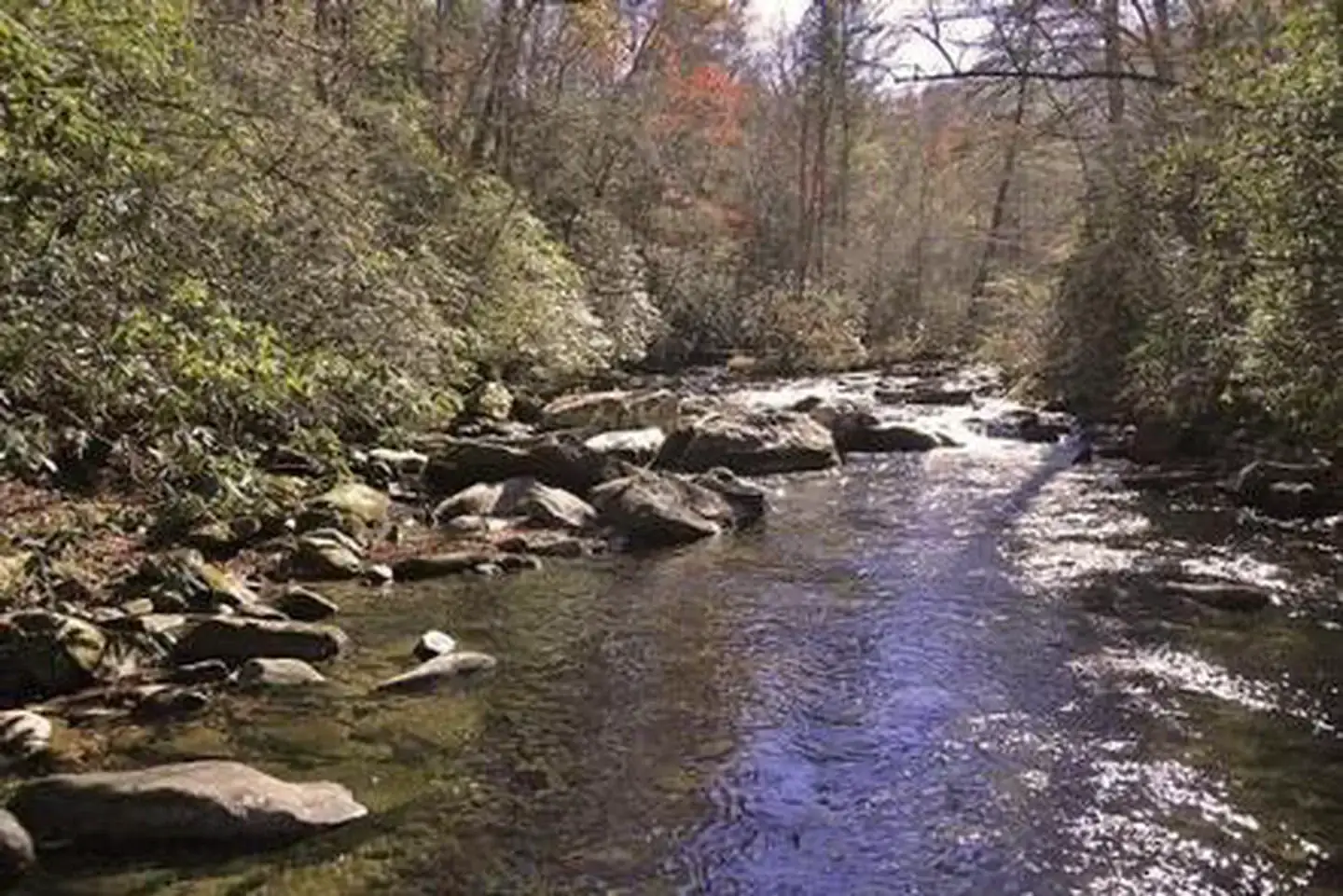 Camper-submitted photo at Rattler Ford Campground near Tallassee, TN