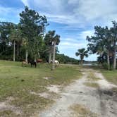 Review photo of Stafford Beach Campground — Cumberland Island National Seashore by Jalissa Y., August 26, 2019