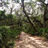 Review photo of Stafford Beach Campground — Cumberland Island National Seashore by Jalissa Y., August 26, 2019