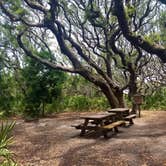 Review photo of Stafford Beach Campground — Cumberland Island National Seashore by Jalissa Y., August 26, 2019