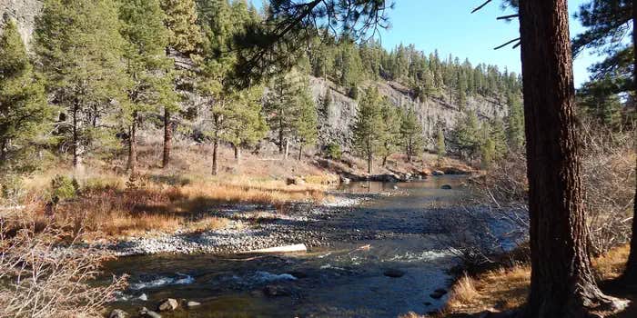 Camper submitted image from Goose Meadows