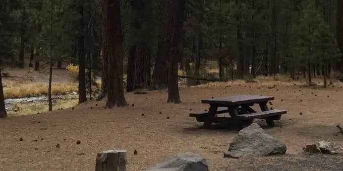 Camper submitted image from Mckay Crossing Campground