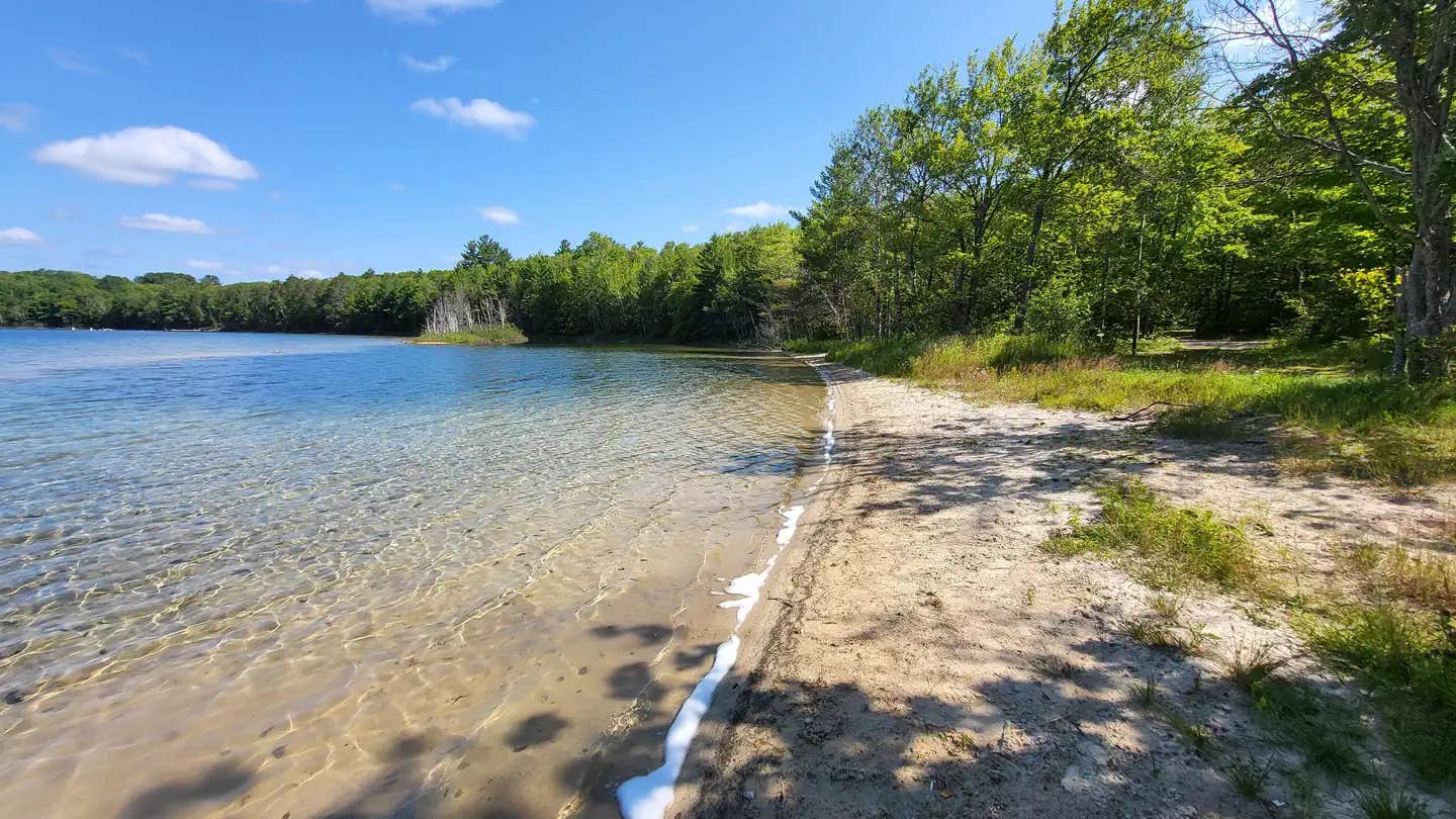 Camper submitted image from Clear Lake Campsite - 1