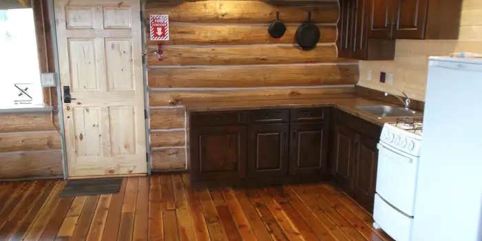 Camper submitted image from Axolotl Cabin